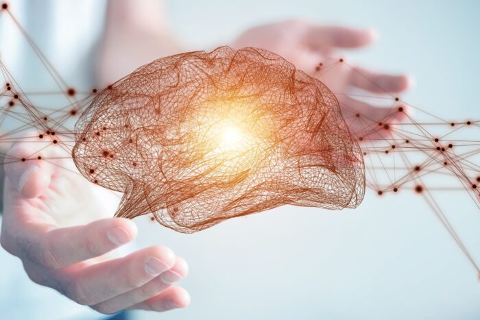 Journey to the Heart - Image 4